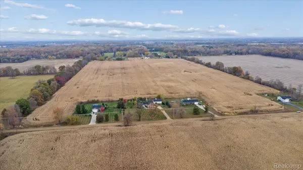 00 Lehring and Britton Rds, Burns Township, MI 48418