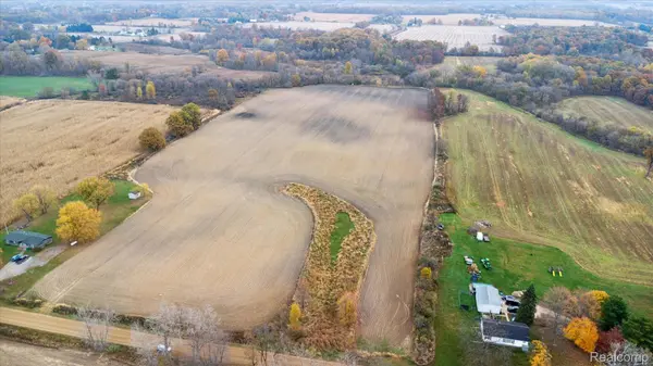 0 S New Lothrop, Burns Township, MI 48429