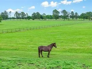 1100 Vz County Road 3419, Wills Point, TX 75169