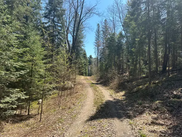 515 JAMES CAMP RD, Ryerson, ON P0A 1C0