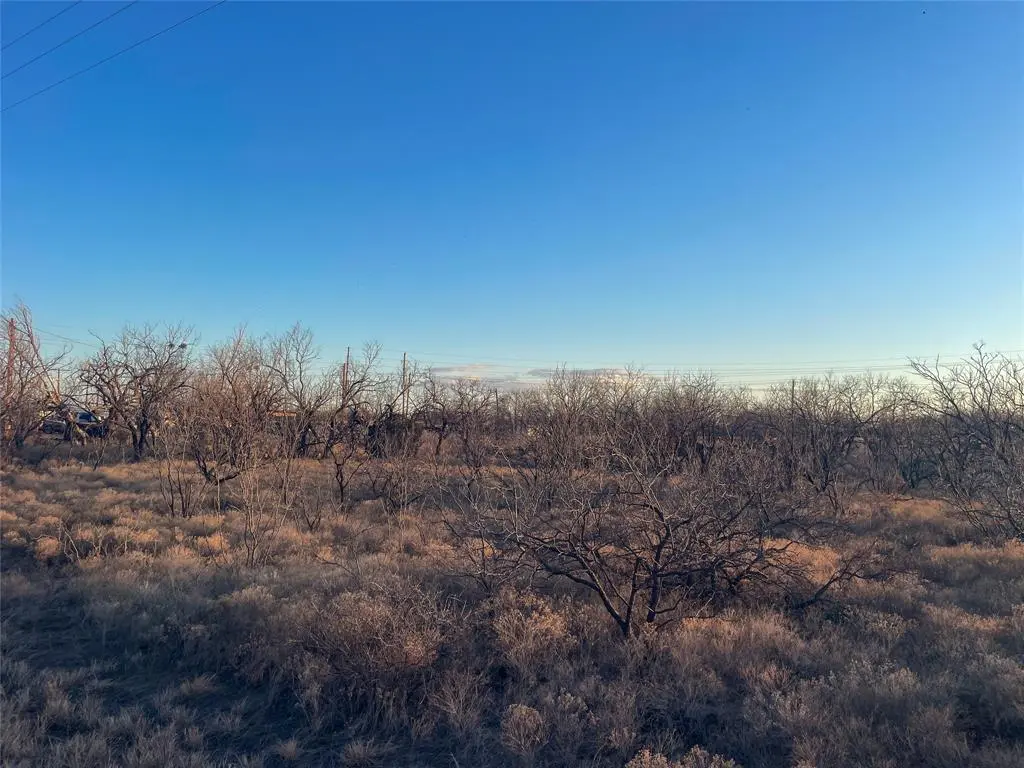 TBD S Access Rd, Tye, TX 79603