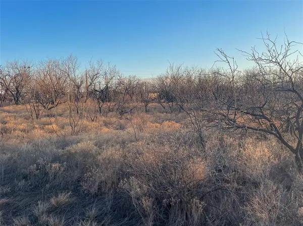 TBD S Access Rd, Tye, TX 79603