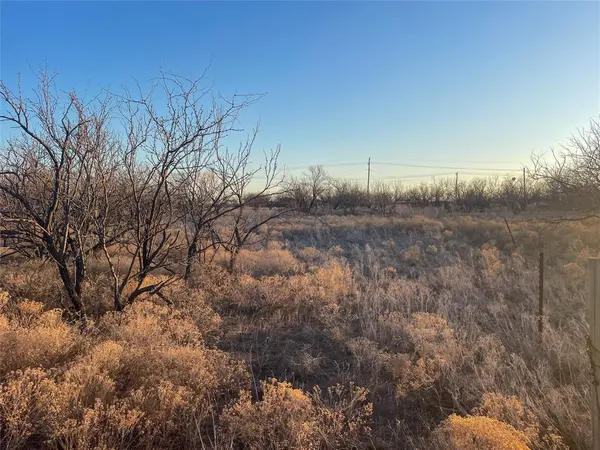 TBD S Access Rd, Tye, TX 79603