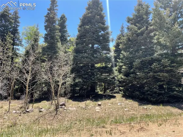 146 Gibson RD, Westcliffe, CO 81252