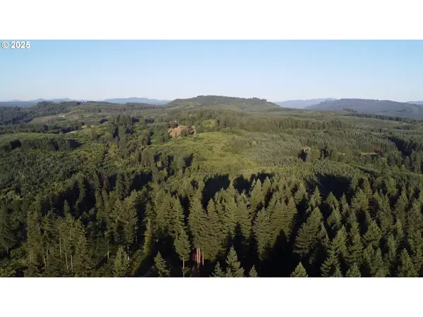 0 NE 171st CT, Yacolt, WA 98675