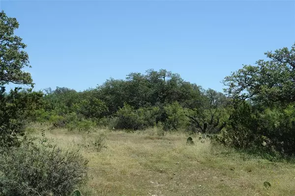 Brady, TX 76825,0001 CR 146