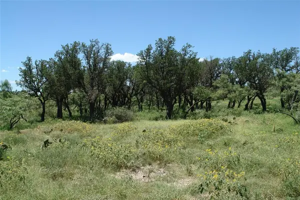 Brady, TX 76825,0001 CR 146