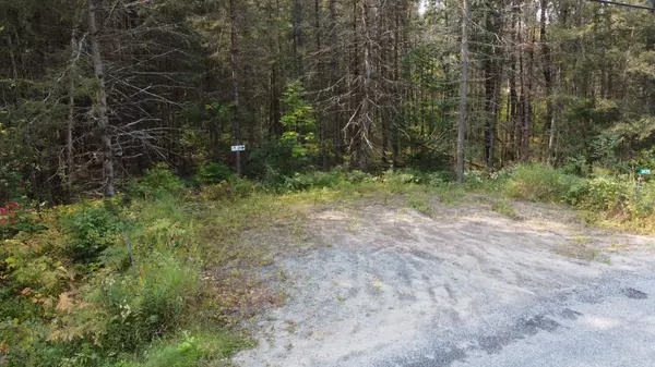 1471 Pickerel & Jack Lake RD, Armour, ON P0A 1Z0