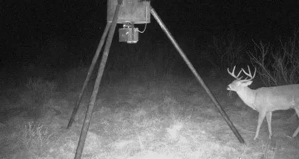 000 Hopewell, Bellevue, TX 76228