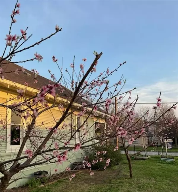 818 W Richmond Avenue, Fort Worth, TX 76110