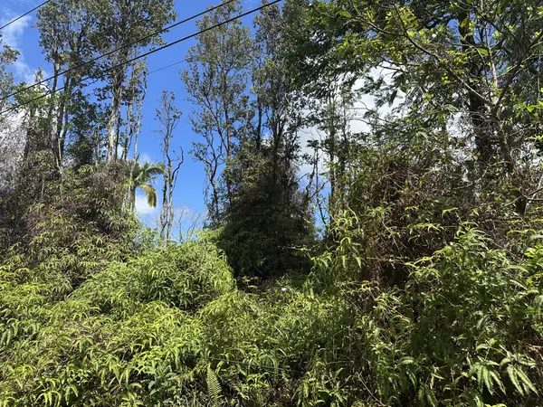 16-2061 PARADISE CT, Keaau, HI 96749