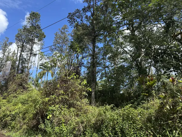 16-2061 PARADISE CT, Keaau, HI 96749