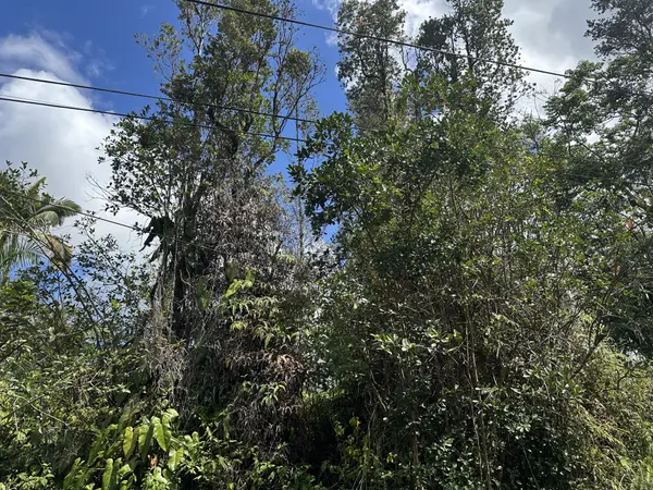 16-2061 PARADISE CT, Keaau, HI 96749