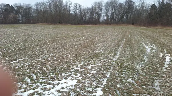 6349A Plank RD, Bayham, ON N0J 1Z0