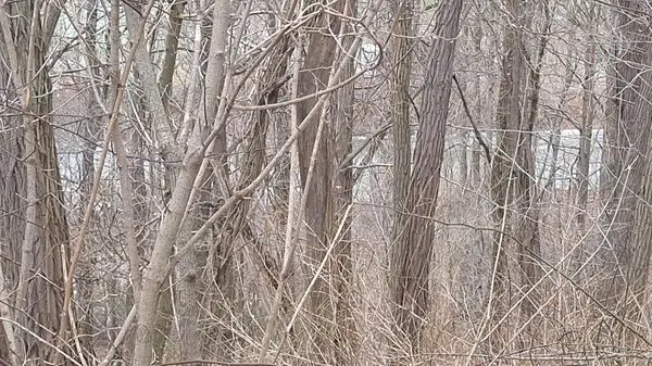 6349A Plank RD, Bayham, ON N0J 1Z0