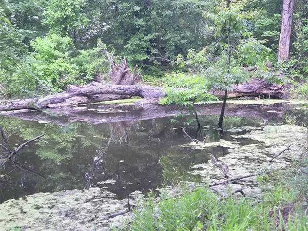 Lot 618 Spur 294, Corsicana, TX 75109