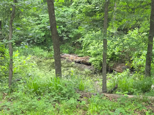 Lot 618 Spur 294, Corsicana, TX 75109