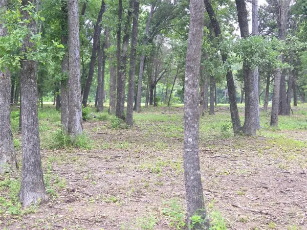 Lot 618 Spur 294, Corsicana, TX 75109