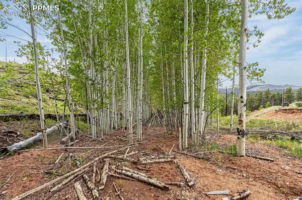 L1 B4 Columbine CIR, Woodland Park, CO 80863
