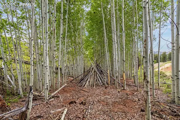 L1 B4 Columbine CIR, Woodland Park, CO 80863