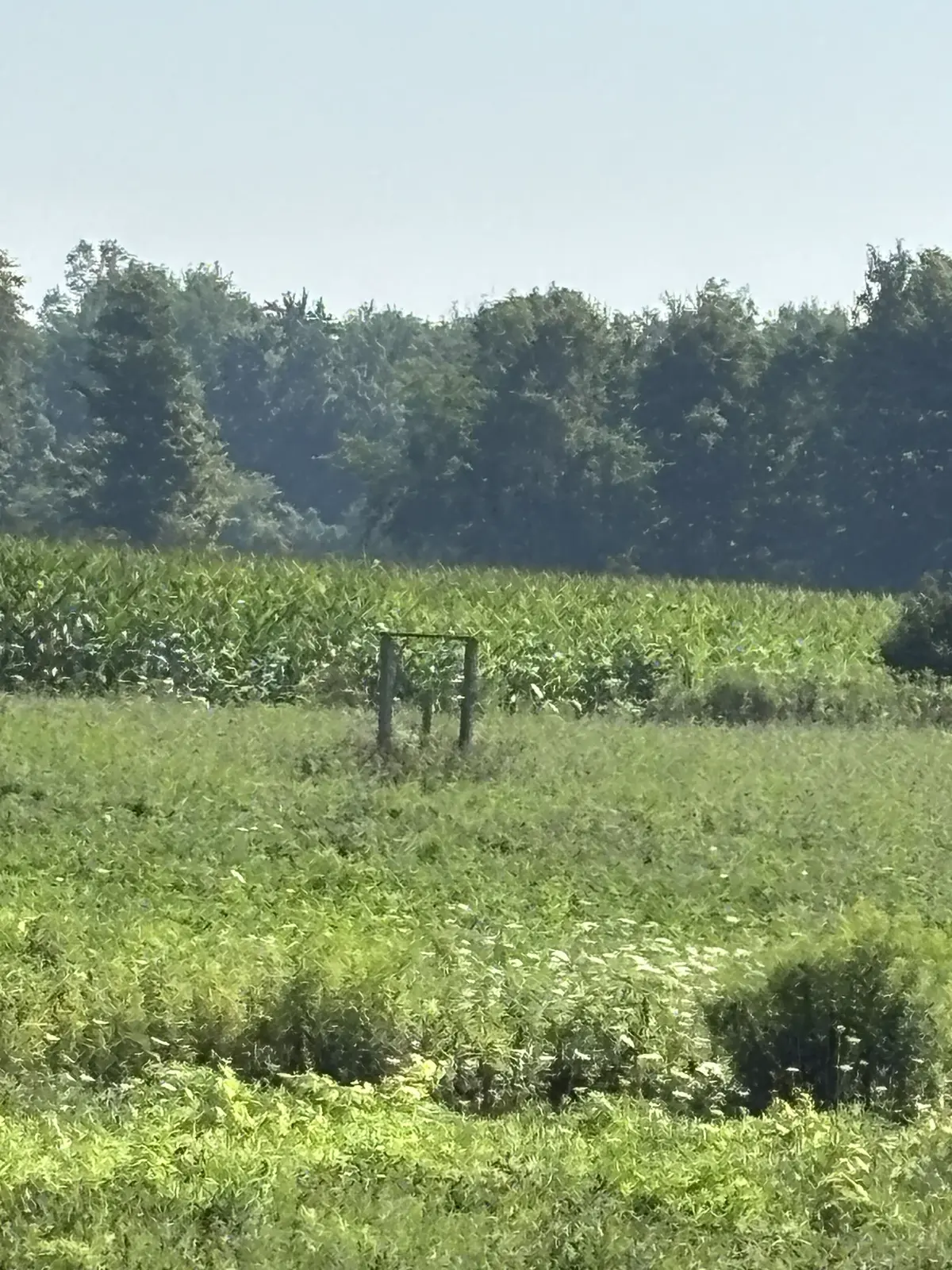 4688 Godby RD, Bayham, ON N0J 1T0