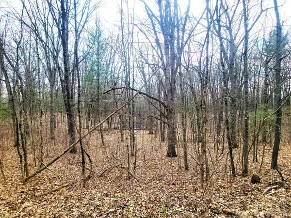 00000 W Estes DR, Elk Twp, MI 49644