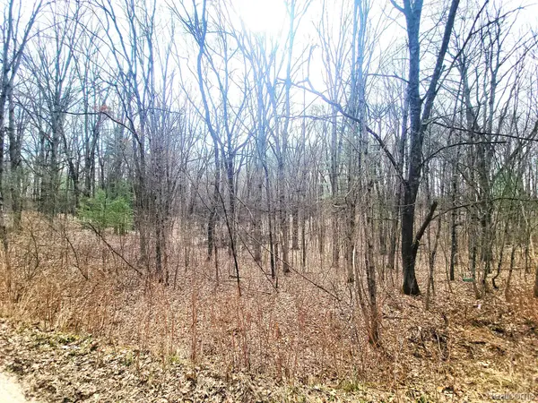 00000 W Estes DR, Elk Twp, MI 49644