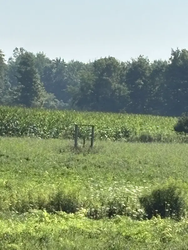 4688 Godby RD, Bayham, ON N0J 1T0