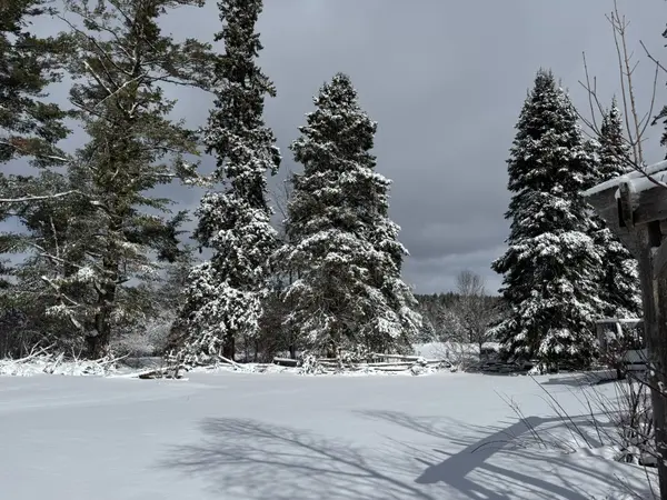 600457 50 Side Road, Chatsworth, ON N0H 1R0