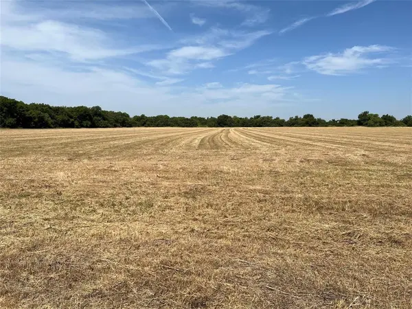 Lot 5 Rodgers Road, Sadler, TX 76264
