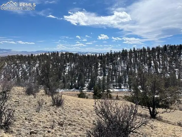 697 Summit RD, Hartsel, CO 80449