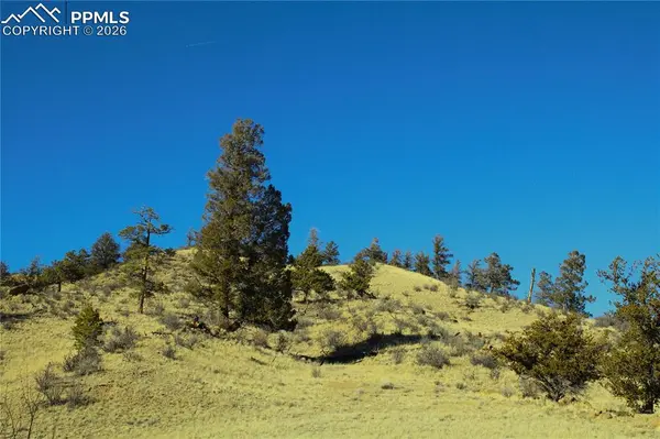 697 Summit RD, Hartsel, CO 80449