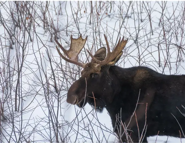 0 64 HWY, French River, ON P0M 2N0