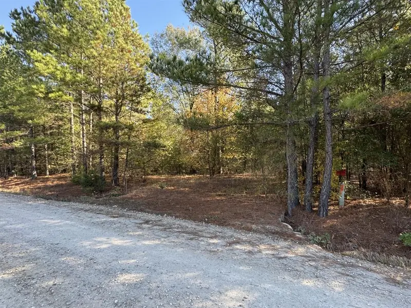 TBD CR 2451, Clarksville, TX 75426