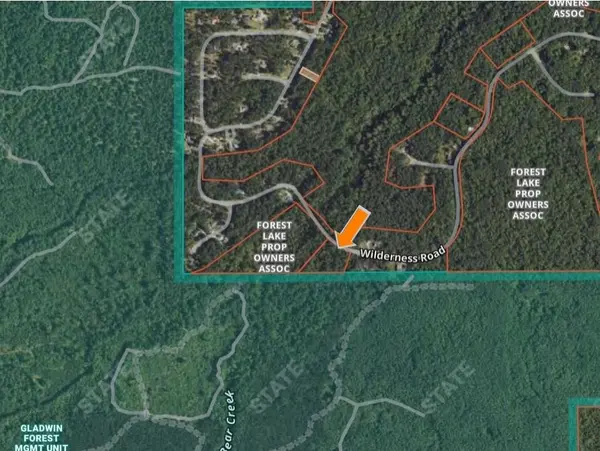 Wilderness DR, Moffatt Twp, MI 48610