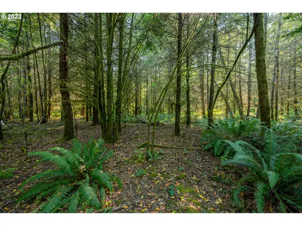 0 Sitkum #300, Myrtle Point, OR 97458