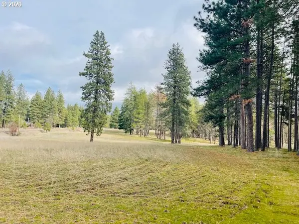 Orchard Heights RD #Lot 1,  Goldendale,  WA 98620