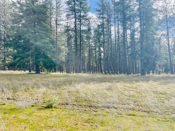 Orchard Heights RD #Lot 1, Goldendale, WA 98620