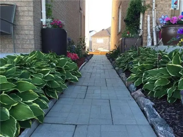 20 Lady Gwillim AVE #(Bsmt), East Gwillimbury, ON L9N 0A5