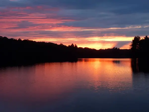 374 STEWART LAKE RD, Georgian Bay, ON P0C 1H0