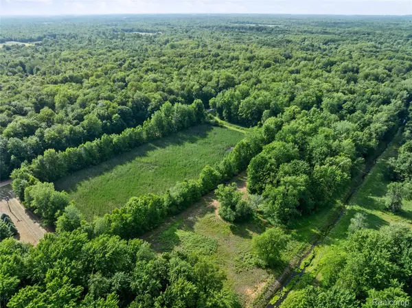 #0092 V/L Nature's Trail RD, Vassar, MI 48768