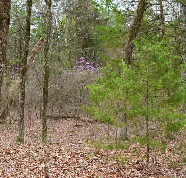 2211 Fm 2029, Telephone, TX 75488