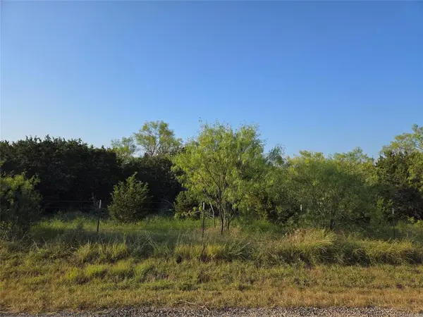 Lot 194 Plesant Valley Road, Mineral Wells, TX 75067