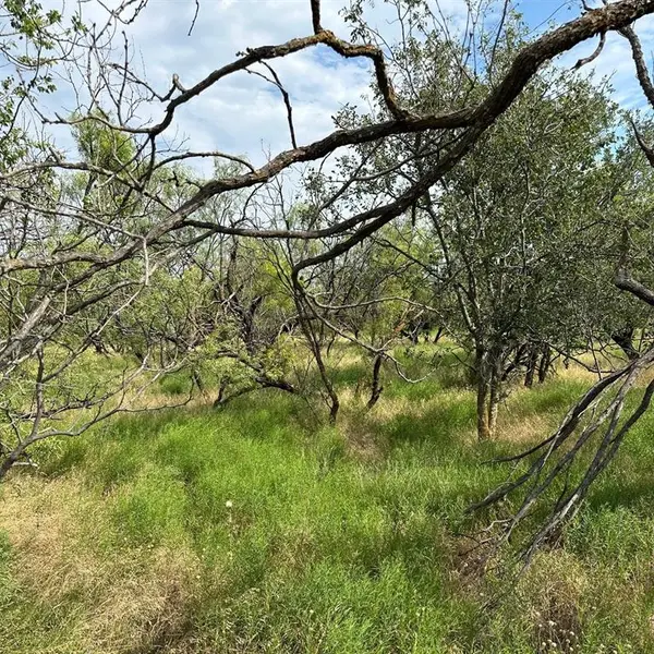 Tract 19 CR 150, Abilene, TX 79601