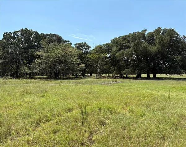 TBD County Road 1168 #3, Brashear, TX 75420