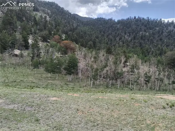 2674 County Road 333, Hartsel, CO 80449