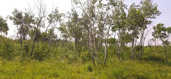 0 Appleton DR, St Malo, MB R0A 1T0