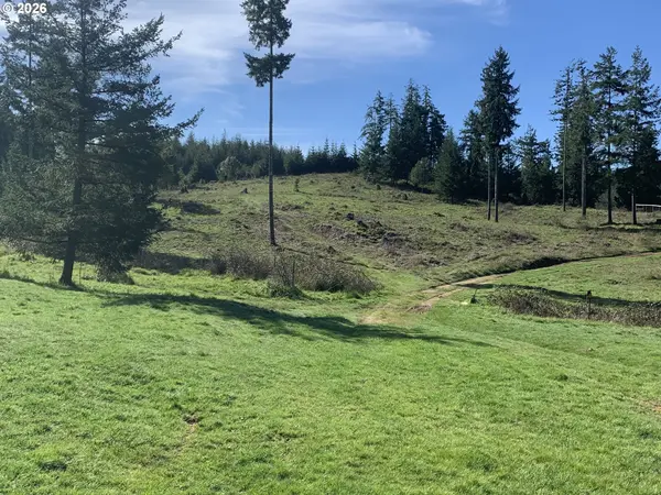 54885 ARAGO FISHTRAP RD, Myrtle Point, OR 97458