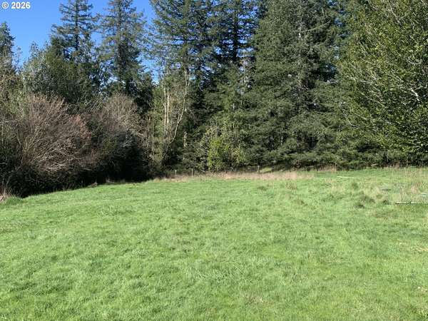 54885 ARAGO FISHTRAP RD, Myrtle Point, OR 97458