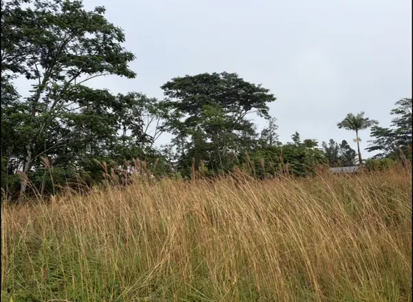 16-2069 PEARL DR, Pahoa, HI 96778